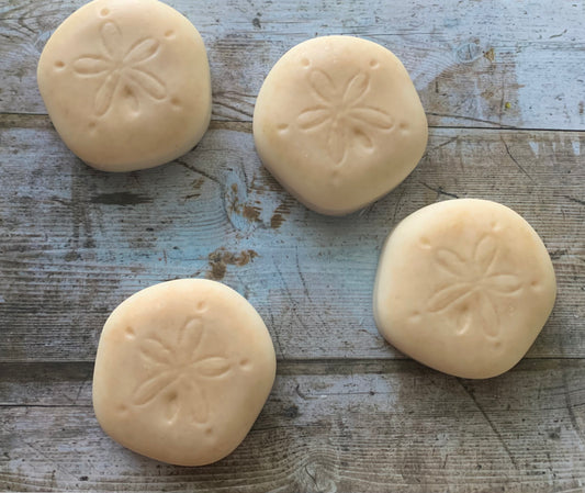 Wounds of Christ Sand Dollar Soap