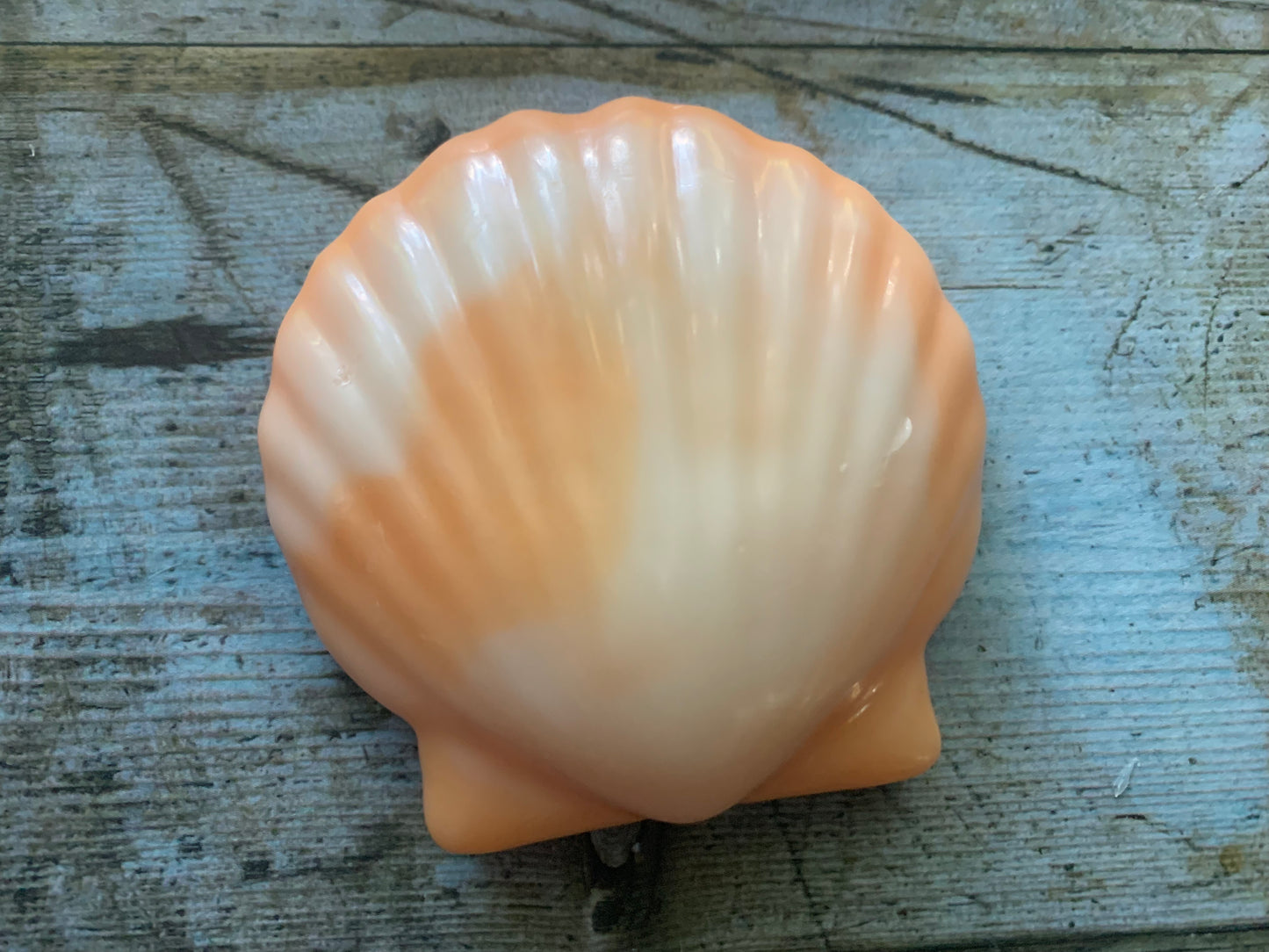 St. James Seashell Soap