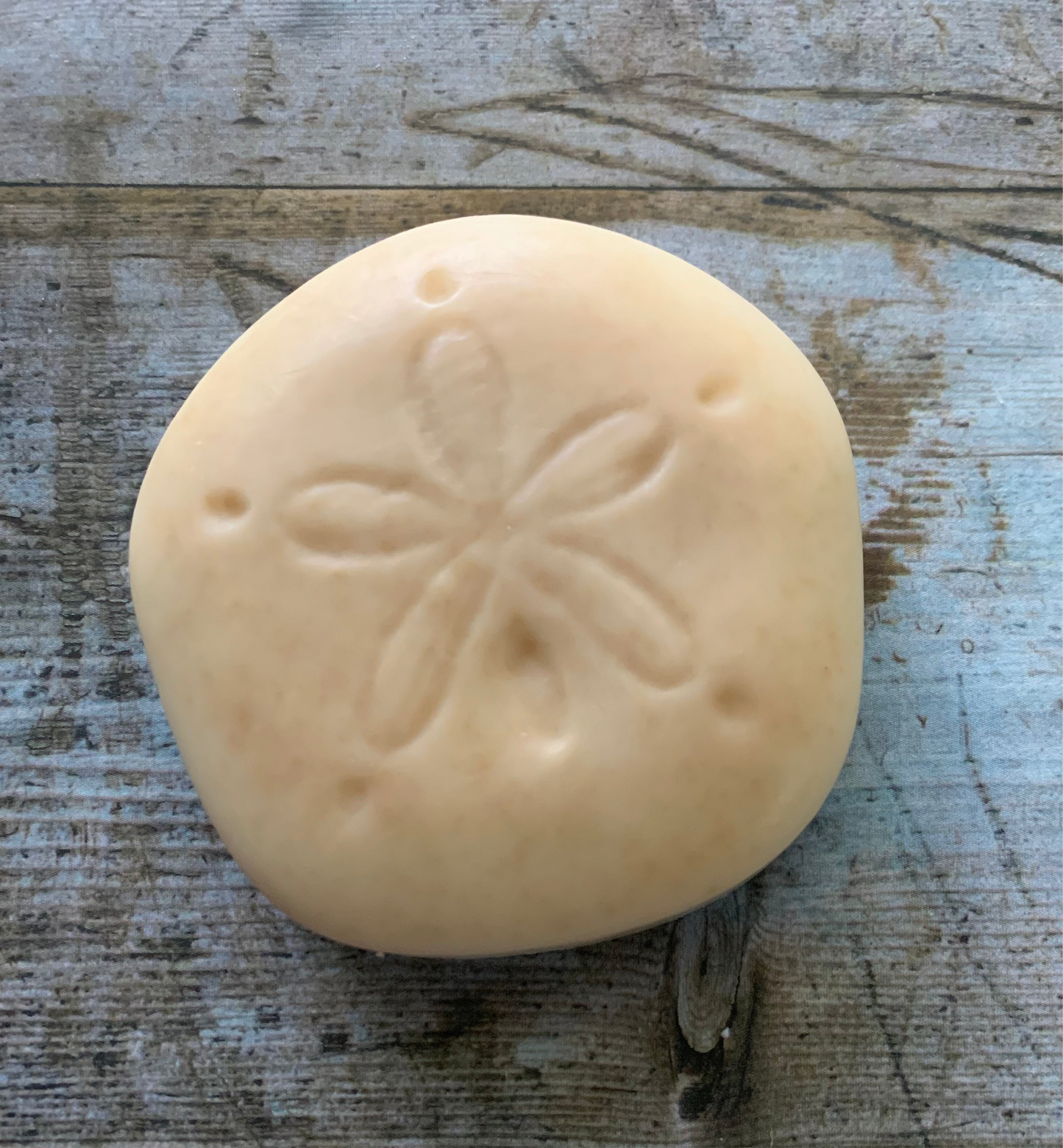 Wounds of Christ Sand Dollar Soap