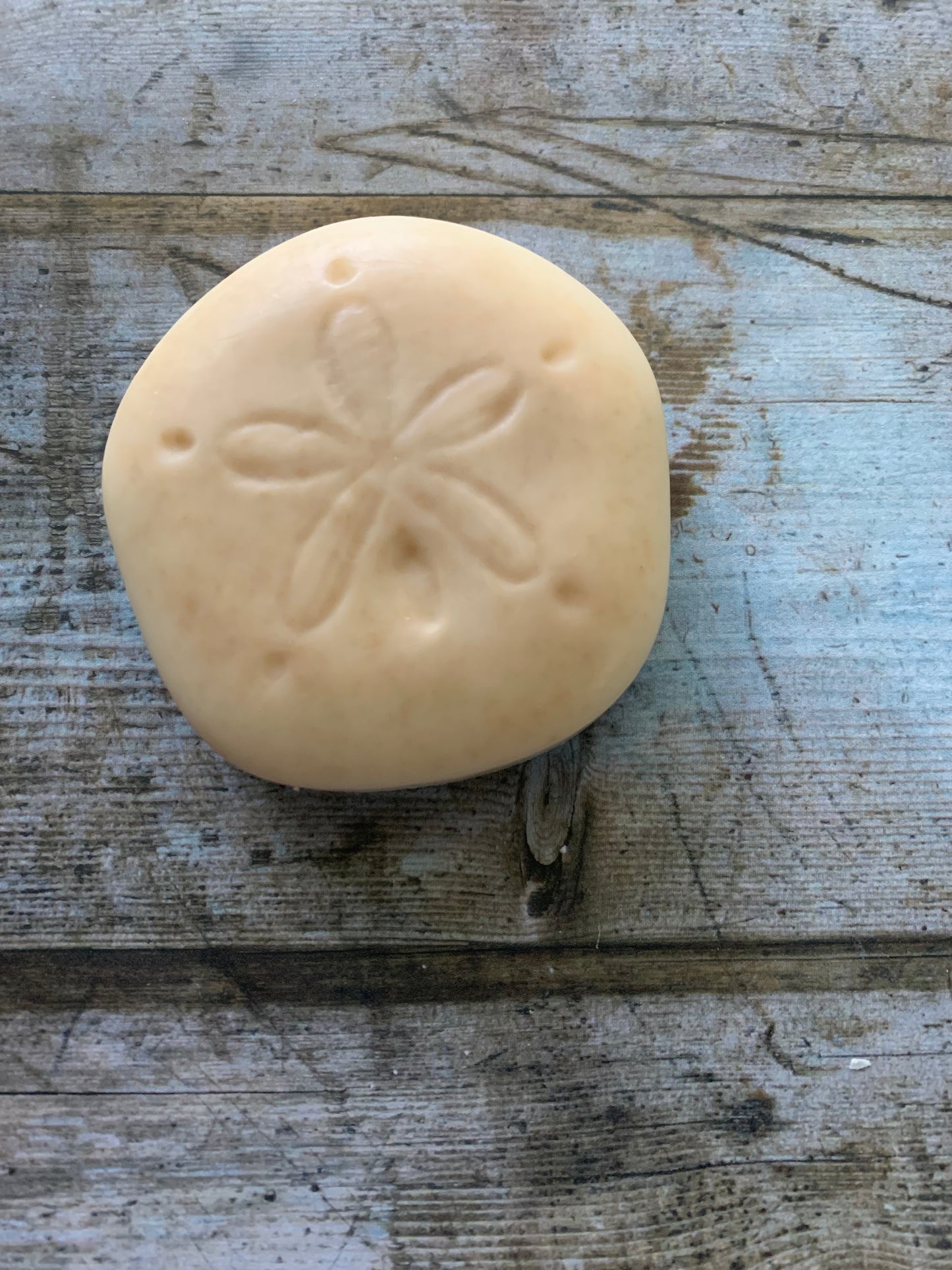 Wounds of Christ Sand Dollar Soap