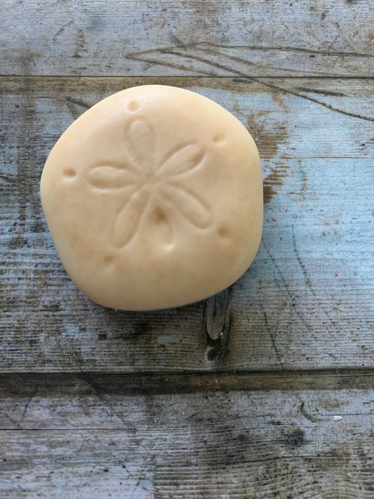 Wounds of Christ Sand Dollar Soap