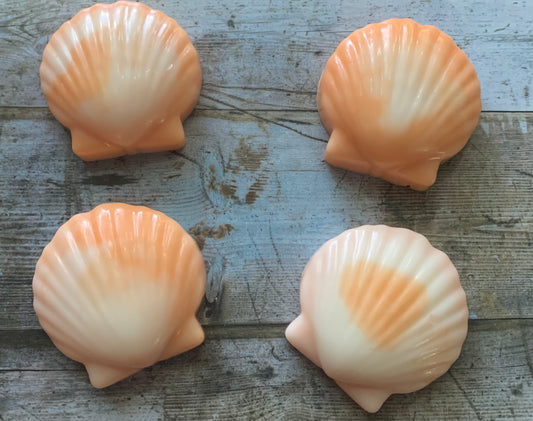 St. James Seashell Soap